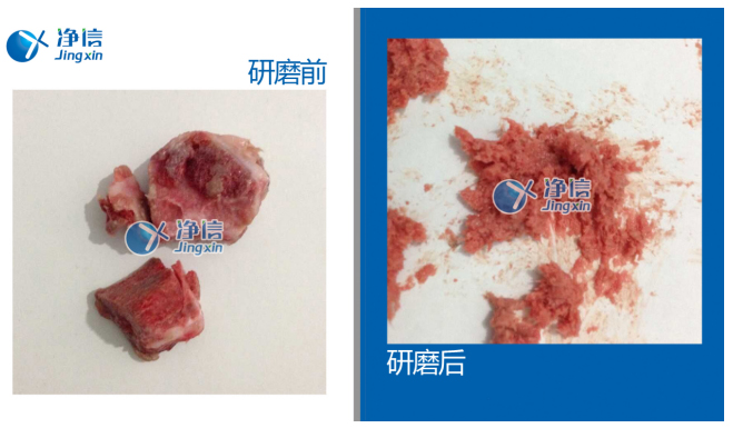 研磨破碎結(jié)締組織儀器：高通量組織研磨儀